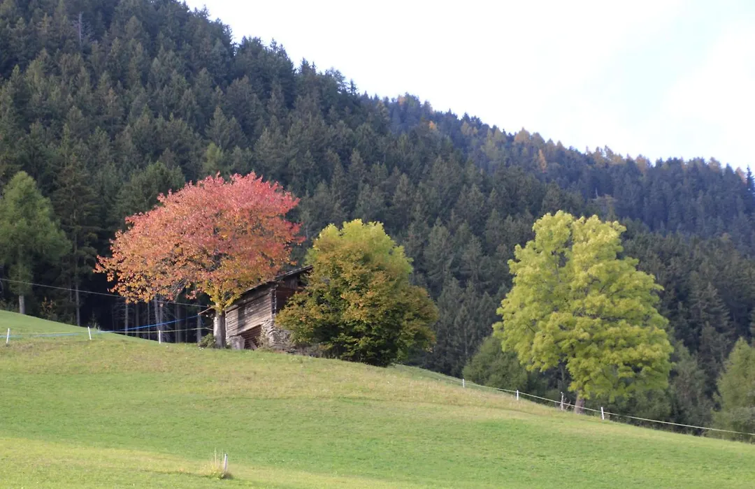 Gasthof Walde-1